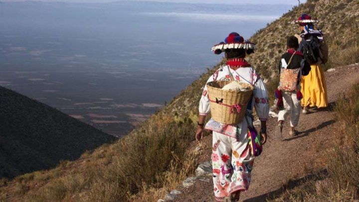 Les Huicholes