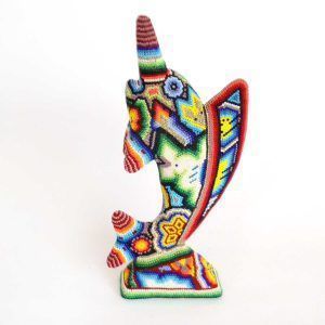 Poisson-voile : Microchaquira