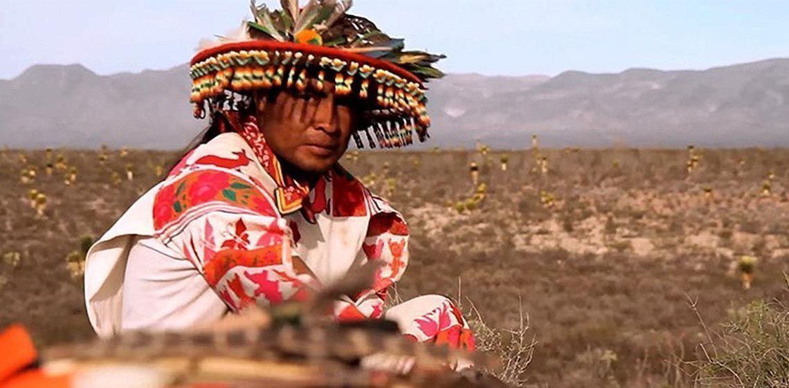 Who are the Huicholes?
