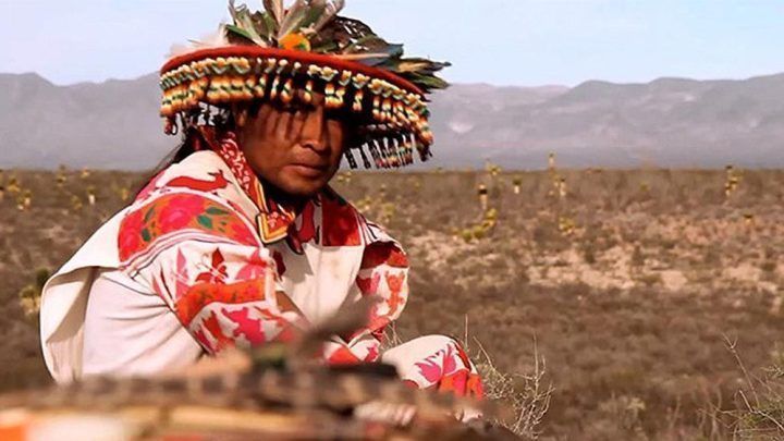 Qui sont les Huicholes ?