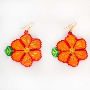 Aretes de microchaquira | Huichol
