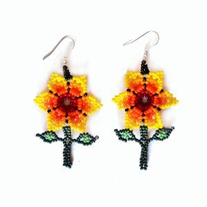 Boucles d'oreilles Chaquira | Huichol