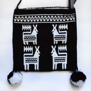 Sac à dos d'art huichol